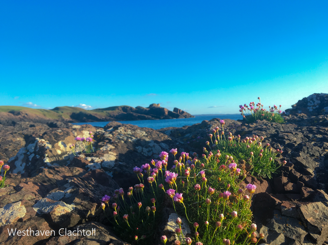 Clachtoll